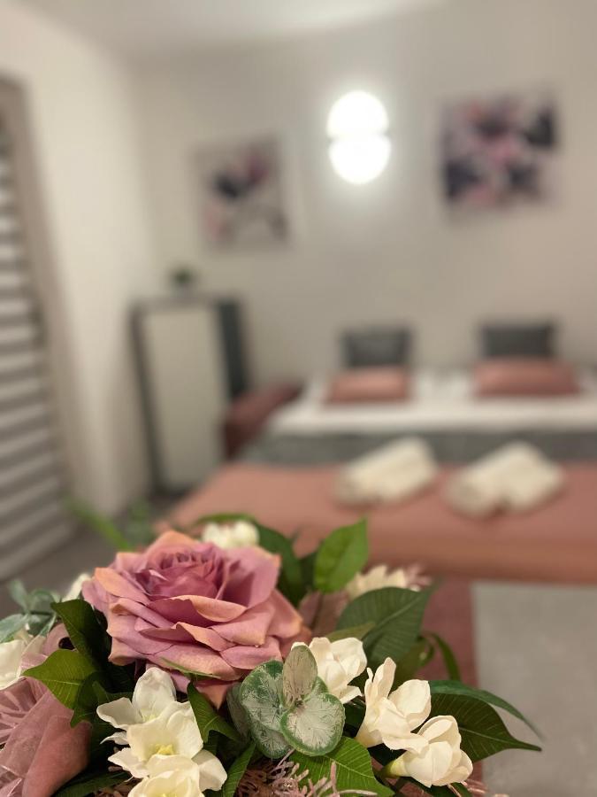 Apartman Stipancic Labin  Kültér fotó